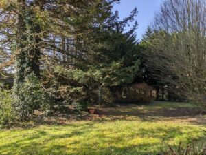 Photo du bien immobilier