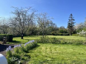 Photo du bien immobilier