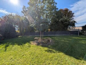 Photo du bien immobilier